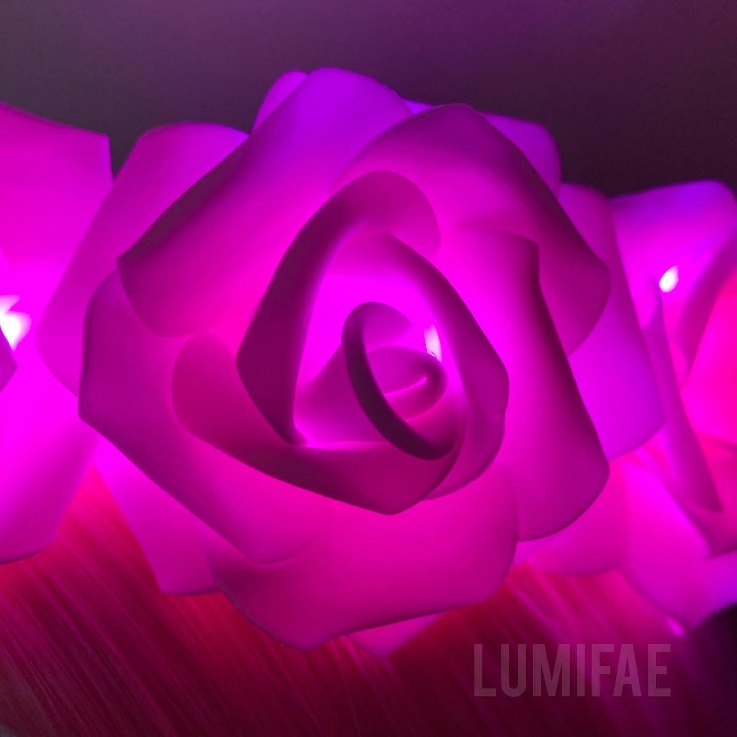 LED Rose Crown, Glowing Flower Tiara, Made-to-Order