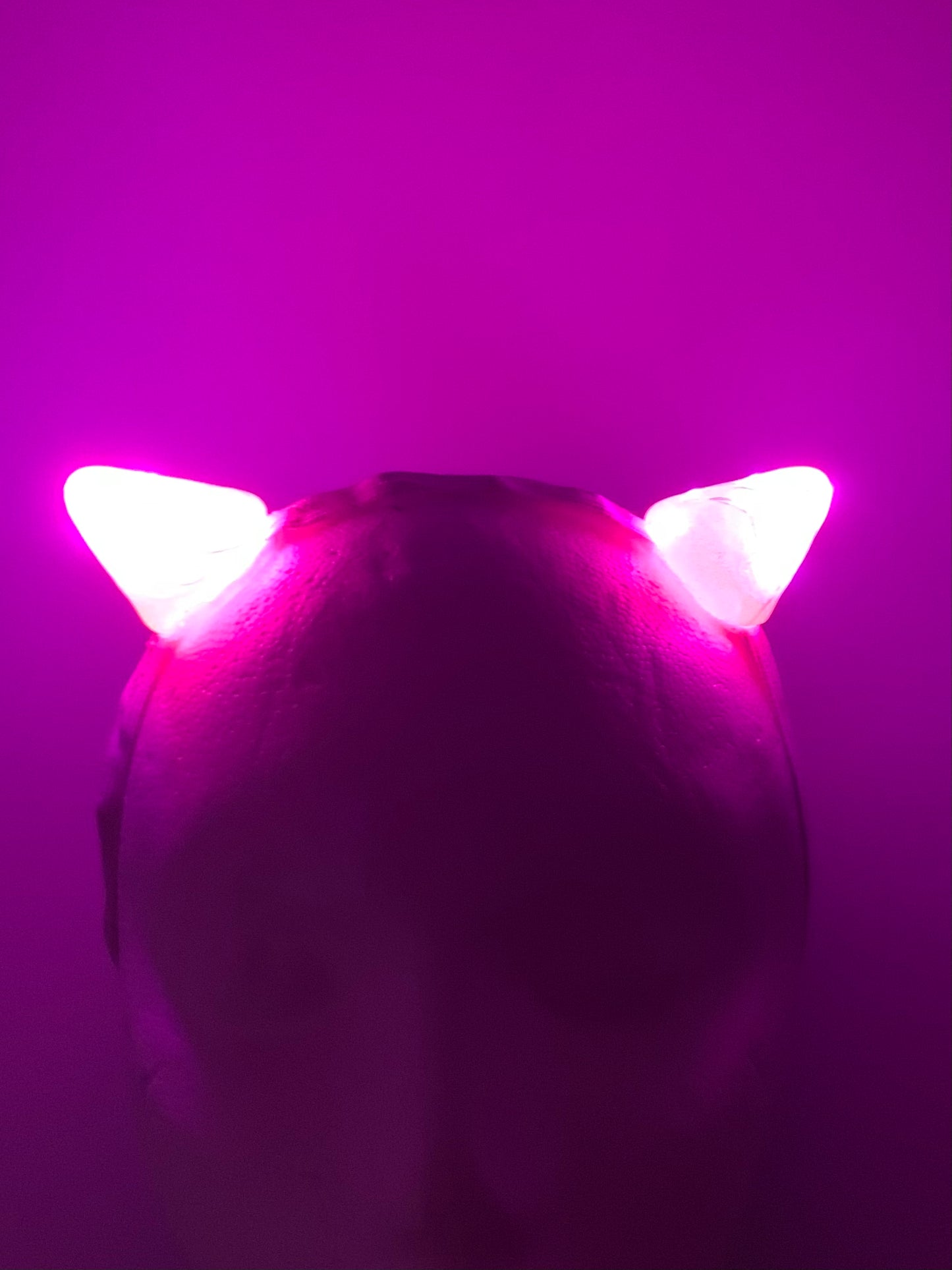 Hot Neon Pink LED Horns, Chubby Short Little Cute