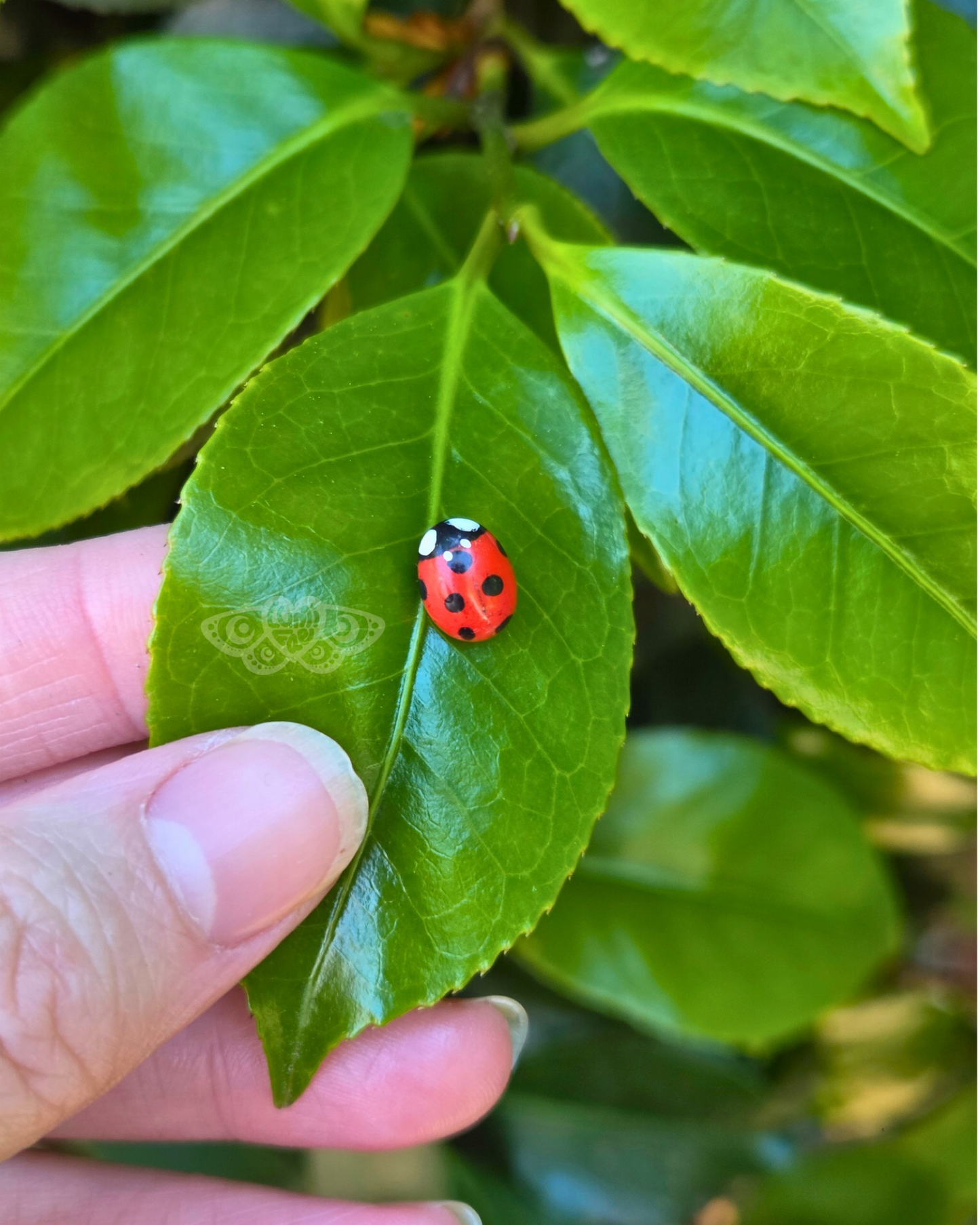 Ladybug Nose Stud- Realistic Hypoallergenic Nose Ring Handcrafted - LumiFae