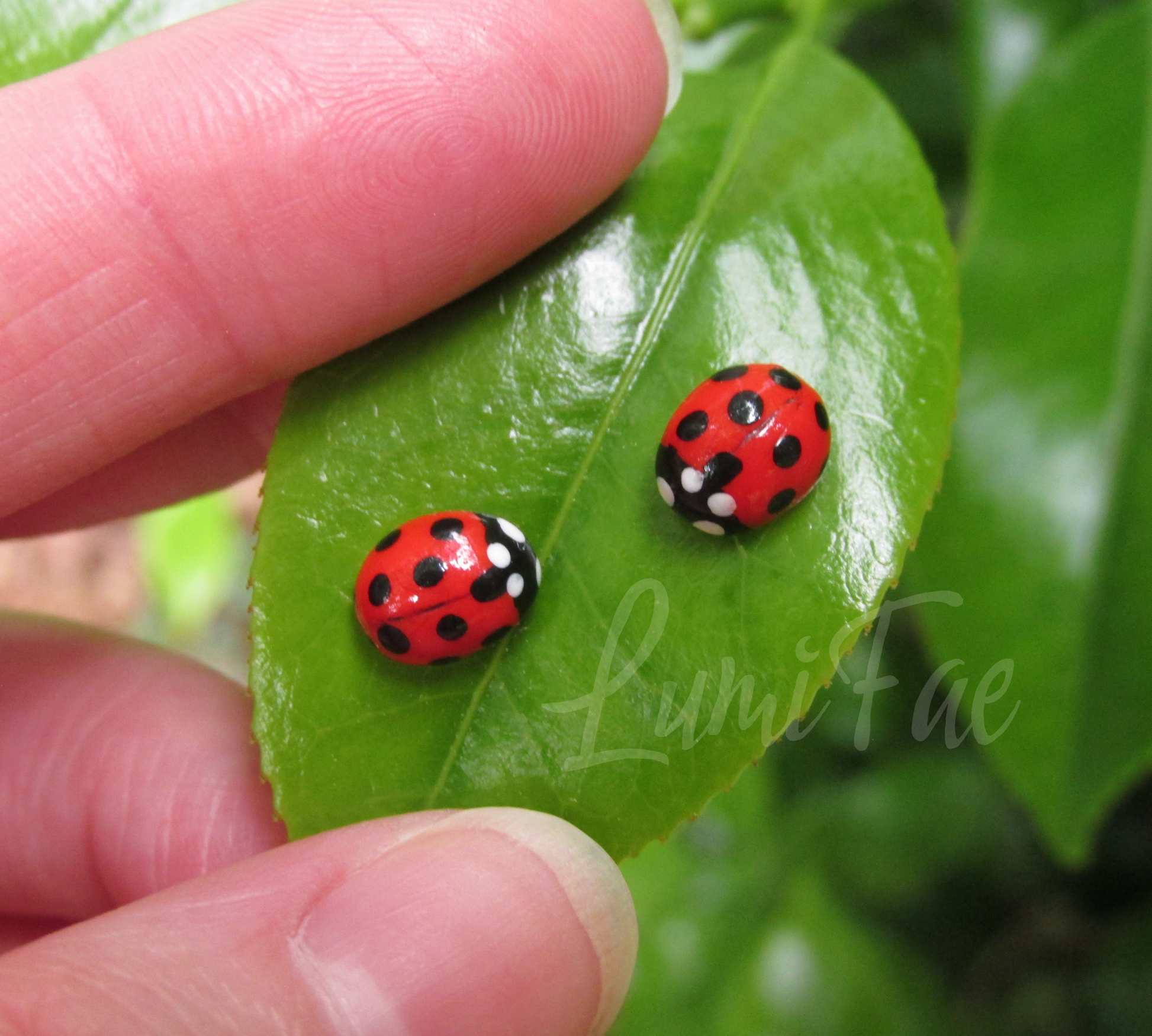 A pair of handcrafted, hypoallergenic ladybug earrings made of clay, displayed on a green leaf.