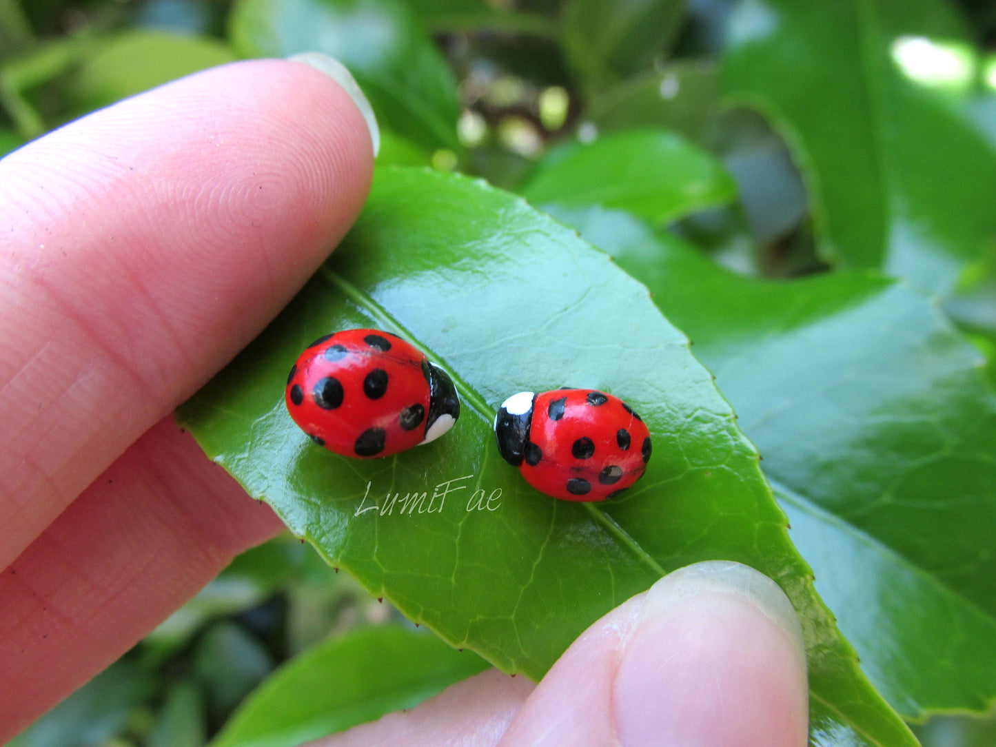 Realistic Ladybug Earrings